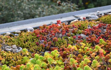 the cost of Brington green roof installation