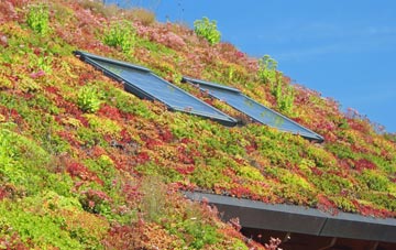 Brington living roof systems